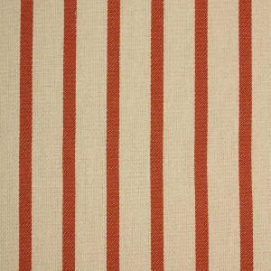 Burnt Orange Outdoor Fabric
