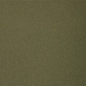 Olive Outdoor Fabric
