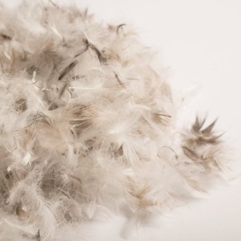 Luxury Feather & Down Cushion Filling – Soft & Supportive Natural Stuffing - Image 2