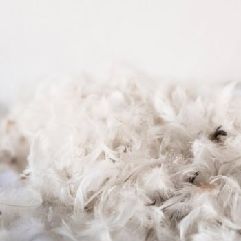 Luxury Feather & Down Cushion Filling – Soft & Supportive Natural Stuffing
