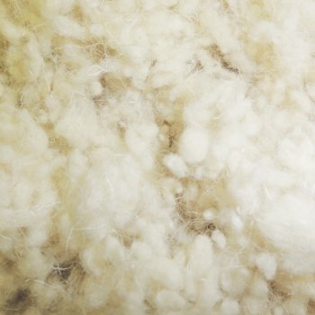 Natural British Sheep Wool Cushion Filling – Eco Friendly Firm Stuffing